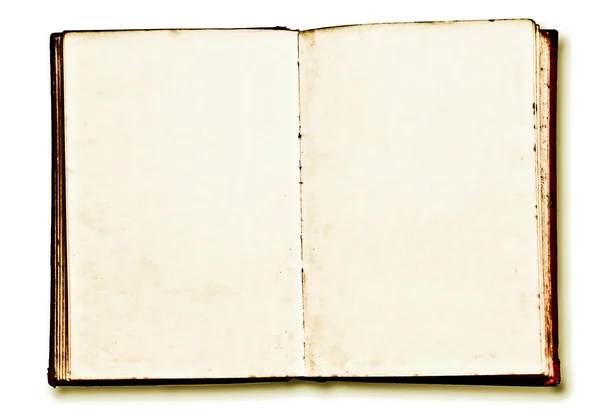 Il vuoto del libro d'epoca — Foto Stock