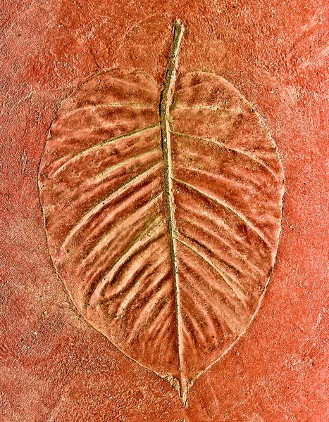The Imprint of leaf isolated on cement background — Stock Photo, Image