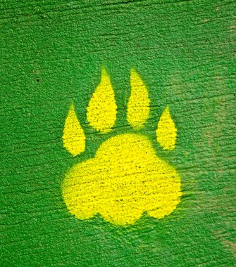 The Footprint of animal on cement background clipart