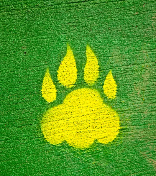 L'impronta dell'animale sullo sfondo del cemento — Foto Stock
