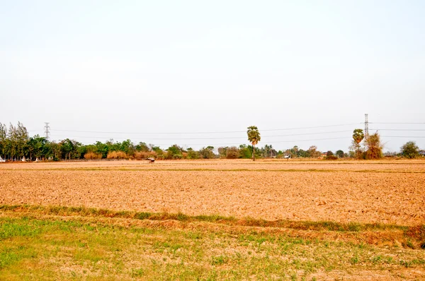 Поле регулирует почву перед посадкой риса — стоковое фото