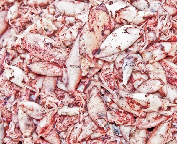 The Dried squid — Stock Photo, Image
