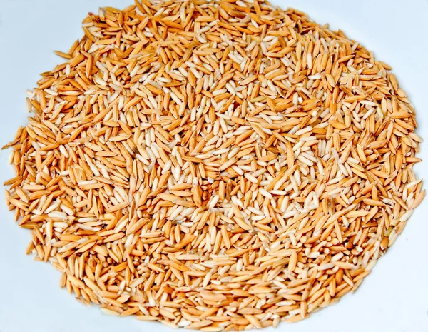 El grano de arroz de cerca sobre fondo blanco —  Fotos de Stock