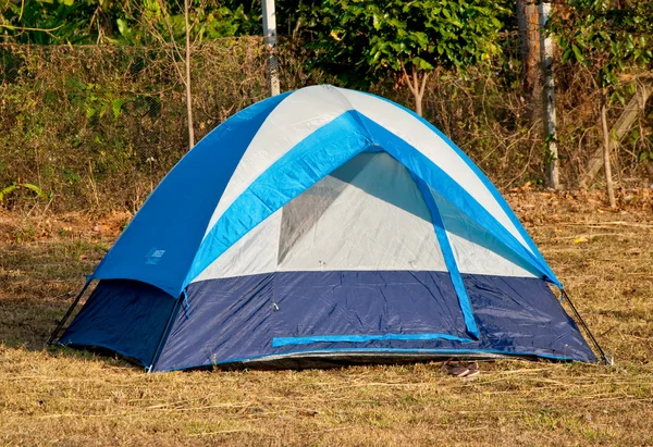 Mavi çadırın bir ormanda — Stok fotoğraf