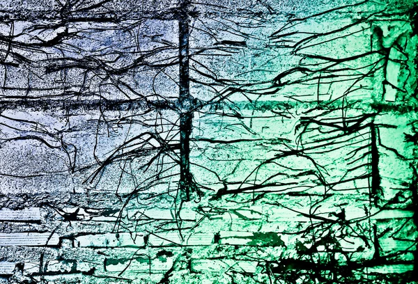 抽象砖壁和树的根背景 — 图库照片