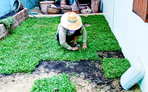 Ajuste o chão do solo antes de fazer fundo de grama verde — Fotografia de Stock