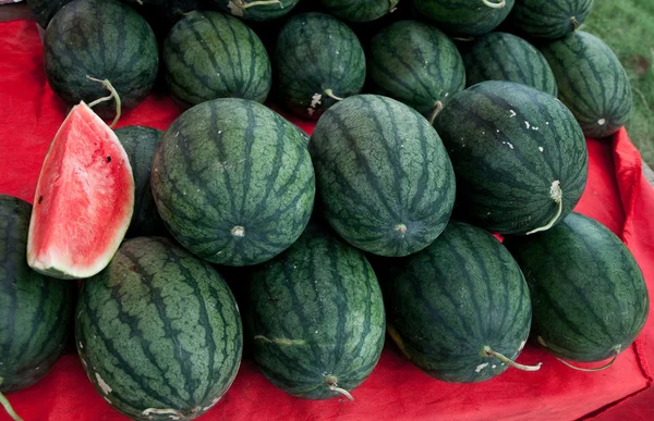 Die Wassermelone — Stockfoto