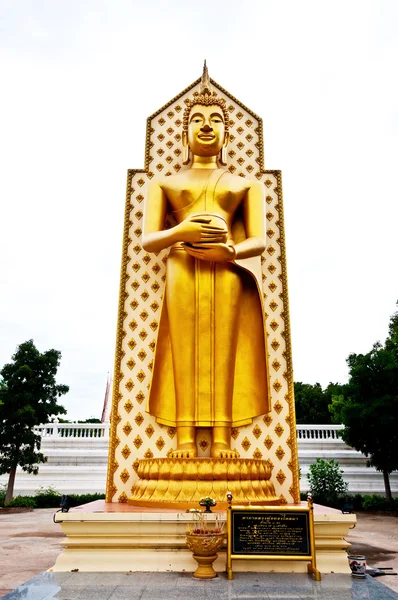 Buddhas status – stockfoto