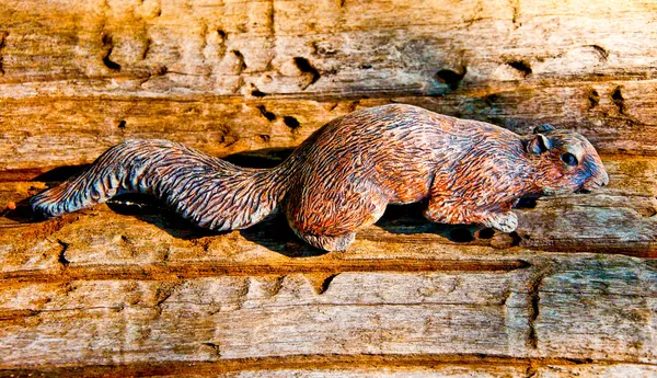 Carving trät av ekorre — Stockfoto
