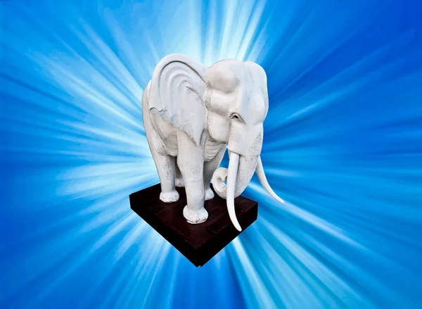 De witte olifant met blue ray achtergrond — Stockfoto