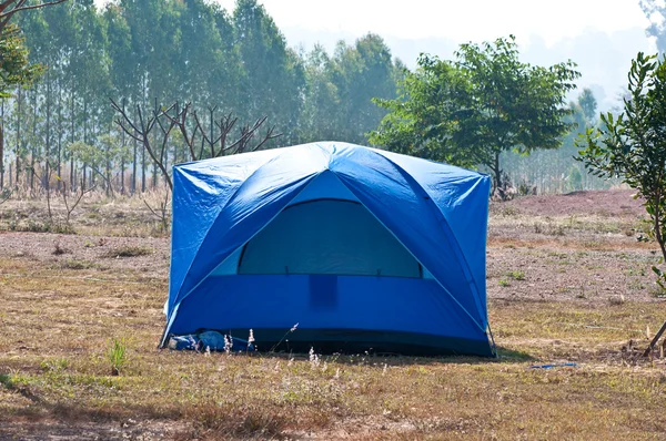 Mavi çadırın bir ormanda — Stok fotoğraf