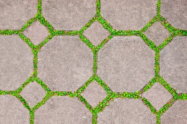 Cegła cement między zielona trawa tło — Zdjęcie stockowe