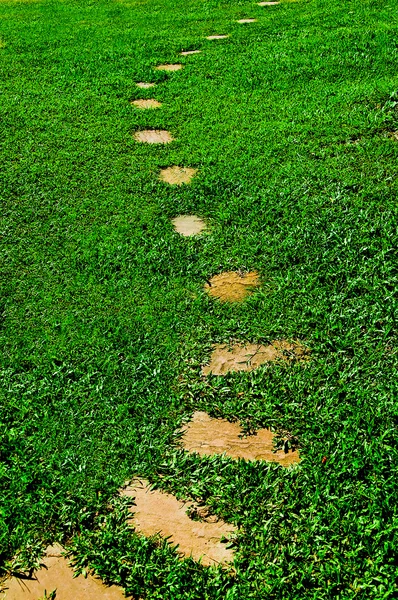 Il percorso a piedi blocco di pietra nel parco con backgroun erba verde — Foto Stock