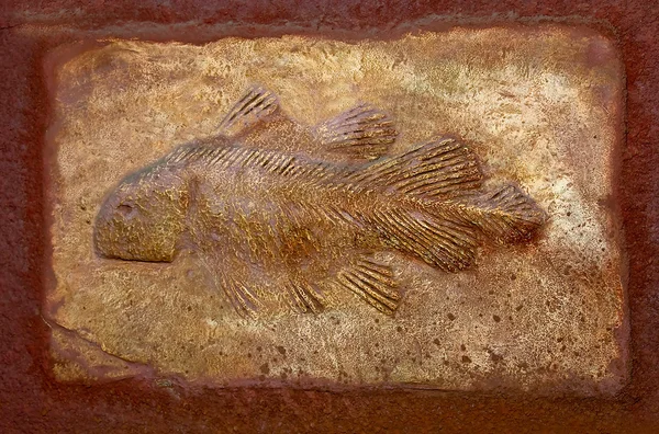 The Model fossil of ancient fish — Stock Photo, Image