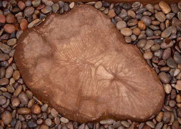 O toco de madeira velha no chão de seixos — Fotografia de Stock