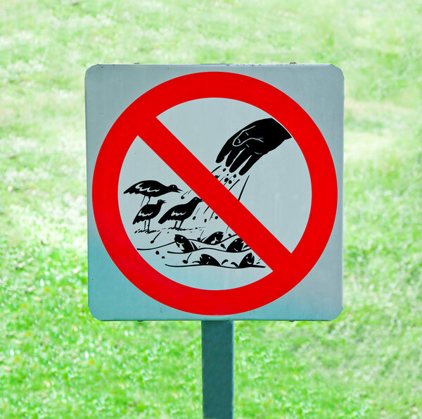 The sign of no feeding bird and fish on green grass background