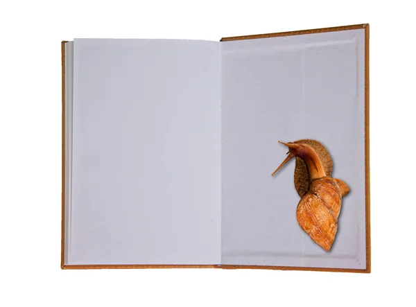 庭のカタツムリを白で隔離とノートブックの空白 — ストック写真