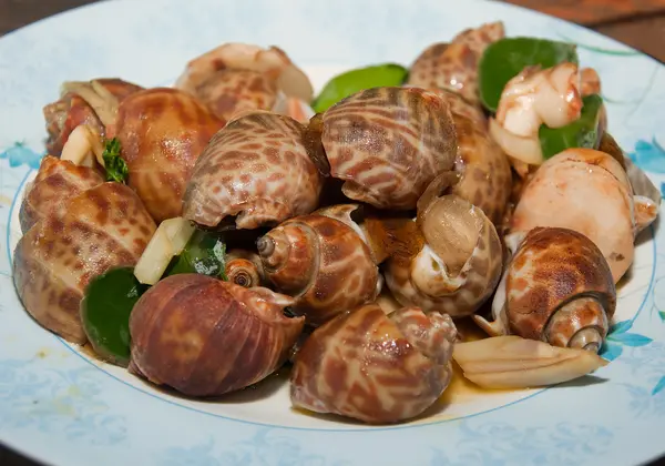 Ångkokt mussla med thai ört — Stockfoto