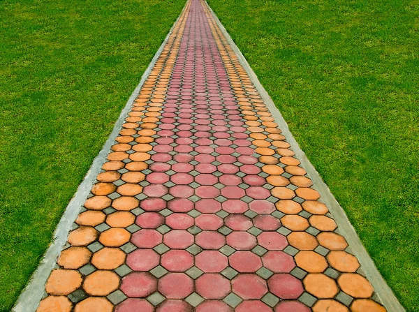 Het pad van de wandeling in het park met groen gras achtergrond — Stockfoto