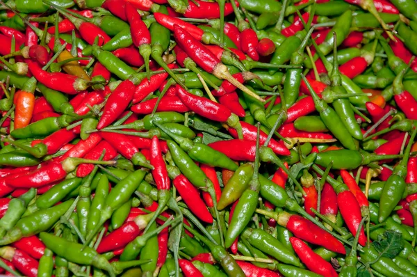 Die rote und grüne Chili-Hintergrundtextur — Stockfoto