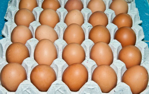 Taze yumurta beyaz zemin üzerine izole büyük tepsi — Stok fotoğraf