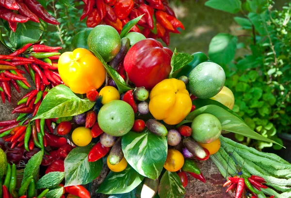 Die Farbenpracht von Chili mit Gemüse — Stockfoto