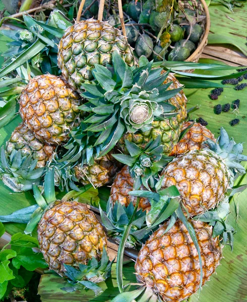 Свіжий ананас — стокове фото