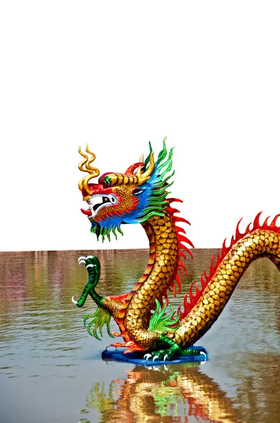 El Colorido del dragón sobre el fondo de agua — Foto de Stock