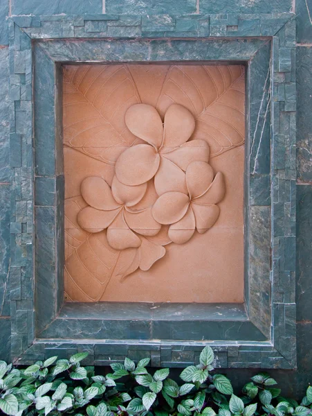 O quadro de rocha de frangipan — Fotografia de Stock
