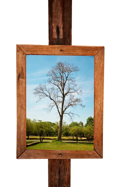 고립 된 나무 빈티지 프레임 배경 몇 가지 사진을 했다 — 스톡 사진