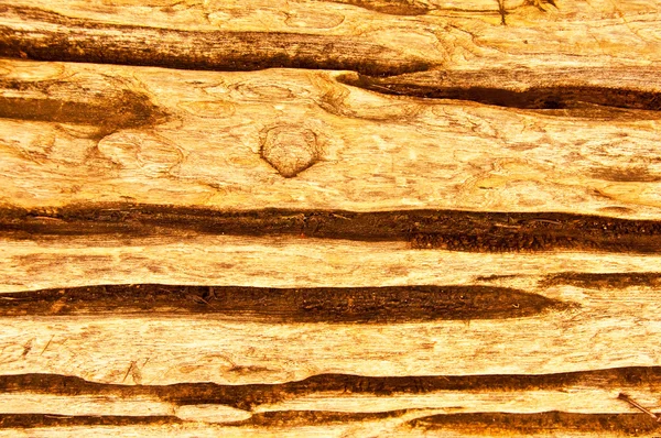 La textura de madera —  Fotos de Stock