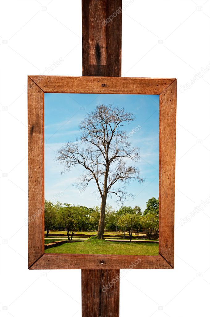 The Wood vintage frame isolated had some picture on background