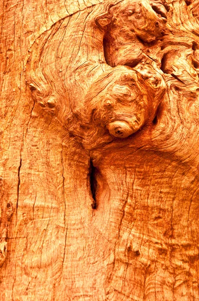 木材纹理 — 图库照片