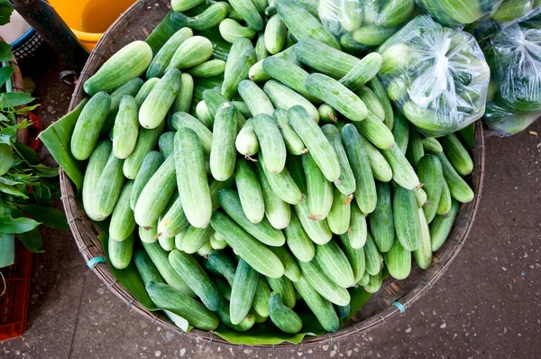 The Fresh cucumber — Stock Photo, Image