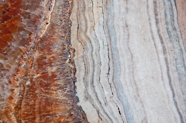 The Level fossil of old rock wood — Stock Photo, Image
