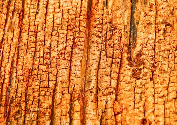 Старая текстура дерева — стоковое фото