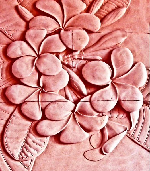 La texture grès de la fleur frangipan — Photo