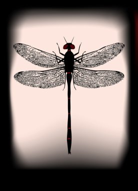 siyah yusufçuk, Cadılar Bayramı için hayalet poster