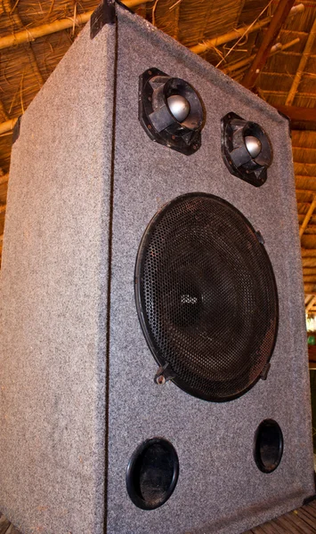 Speaker cabinet — Stock Photo, Image