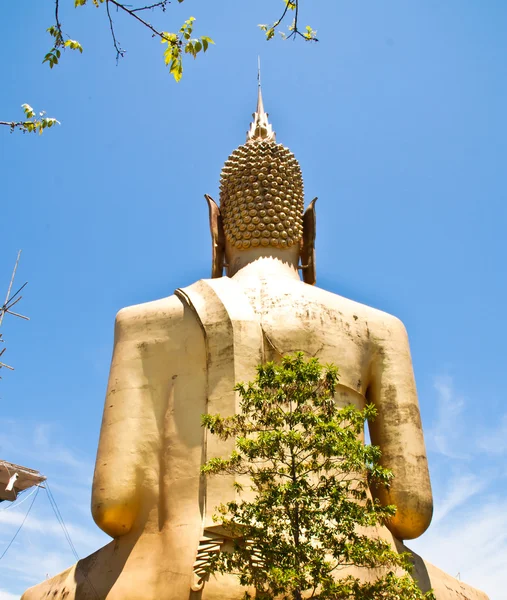 Buddhastatue. — Stockfoto