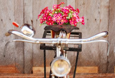 yağmurlu bir gün bisikletle yapay çiçekler