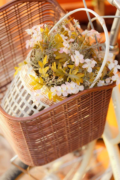 Artificial flower in bicycle basket — Stock Photo, Image