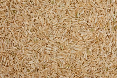 Tayland pirinç tahıl