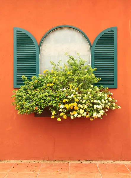 Окно и цветочная коробка — стоковое фото