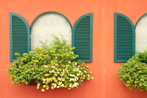 Окно и цветочная коробка — стоковое фото