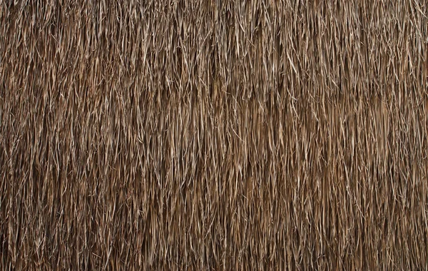 Натуральная стена в тайском стиле из листьев — стоковое фото