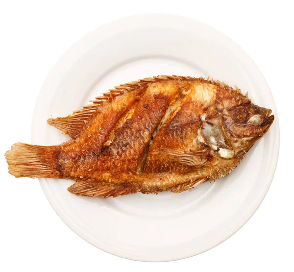 stock image Fried fish in white plate