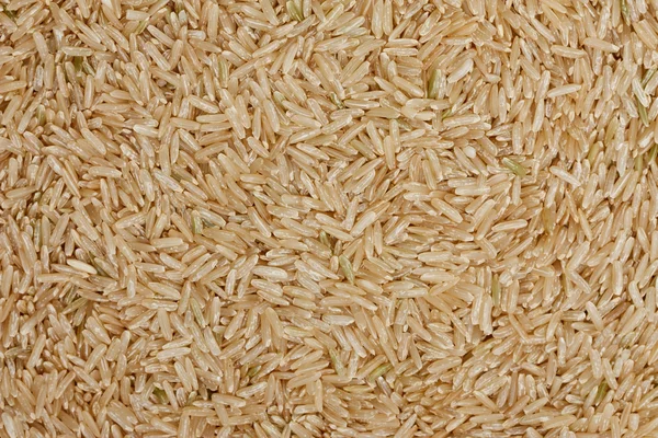 泰国稻米 — 图库照片