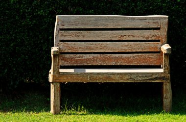 Wood bench in garden