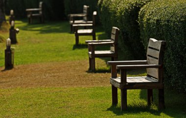 Wood bench in garden